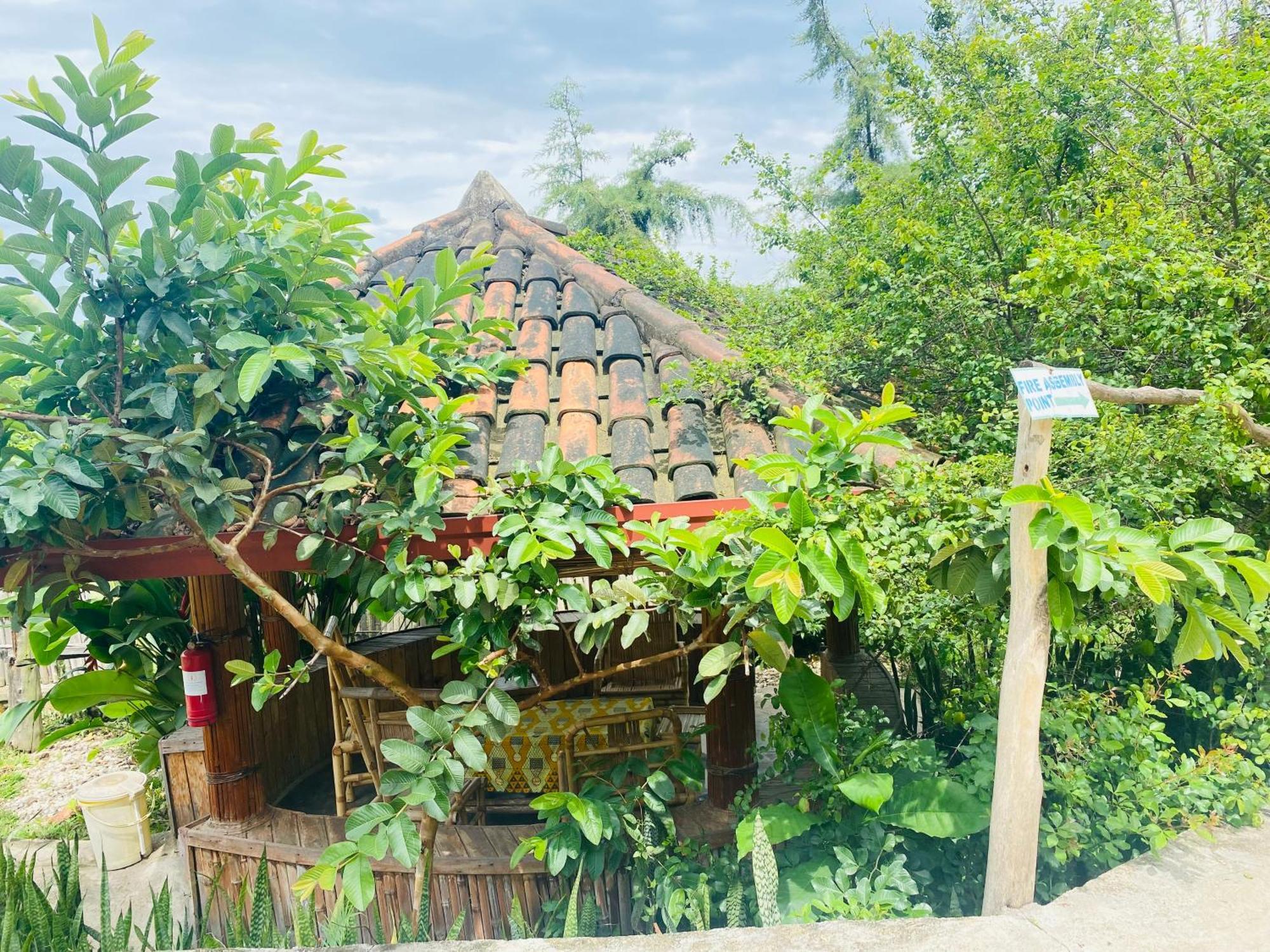 Kivu Macheo Eco-Lodge Kibuye Esterno foto